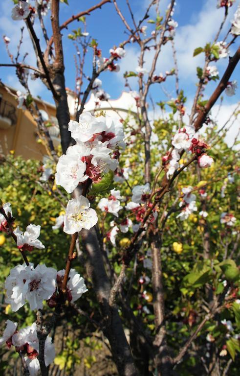 B&B Villa Olimpo Le Torri Agrigento Exterior photo